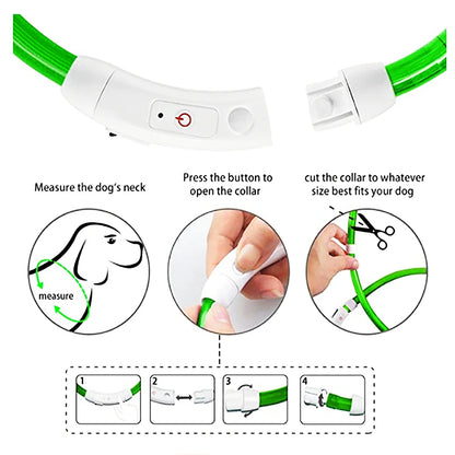 LED Glow Collar – USB Rechargeable Night Safety