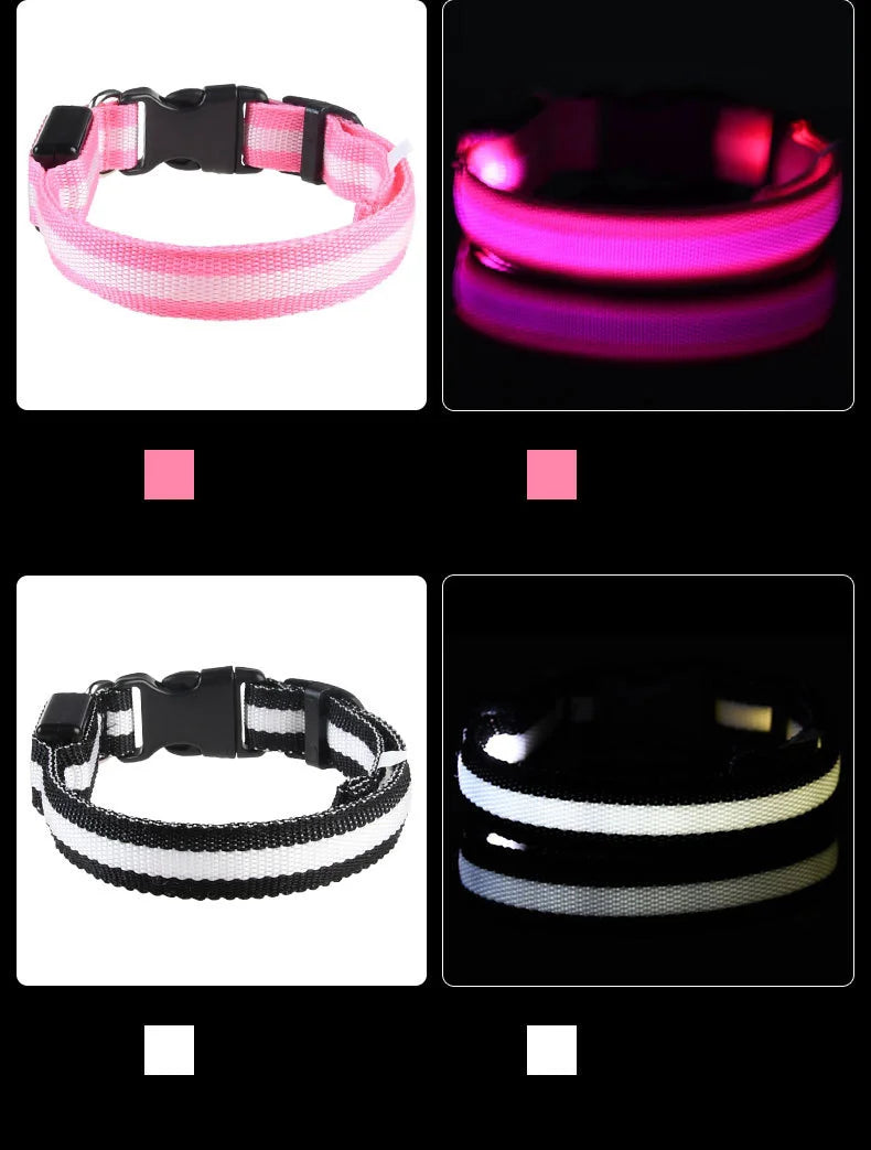 LED Dog Safety Leash USB Rechargeable Durable Nylon