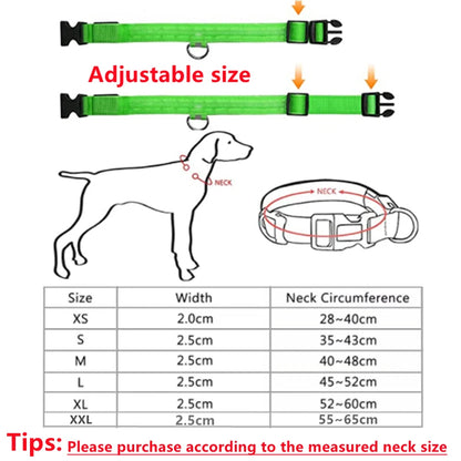 LED Glow Collar – USB Rechargeable Night Safety