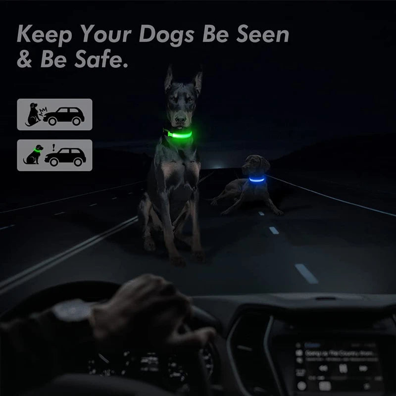 LED Glow Collar – USB Rechargeable Night Safety