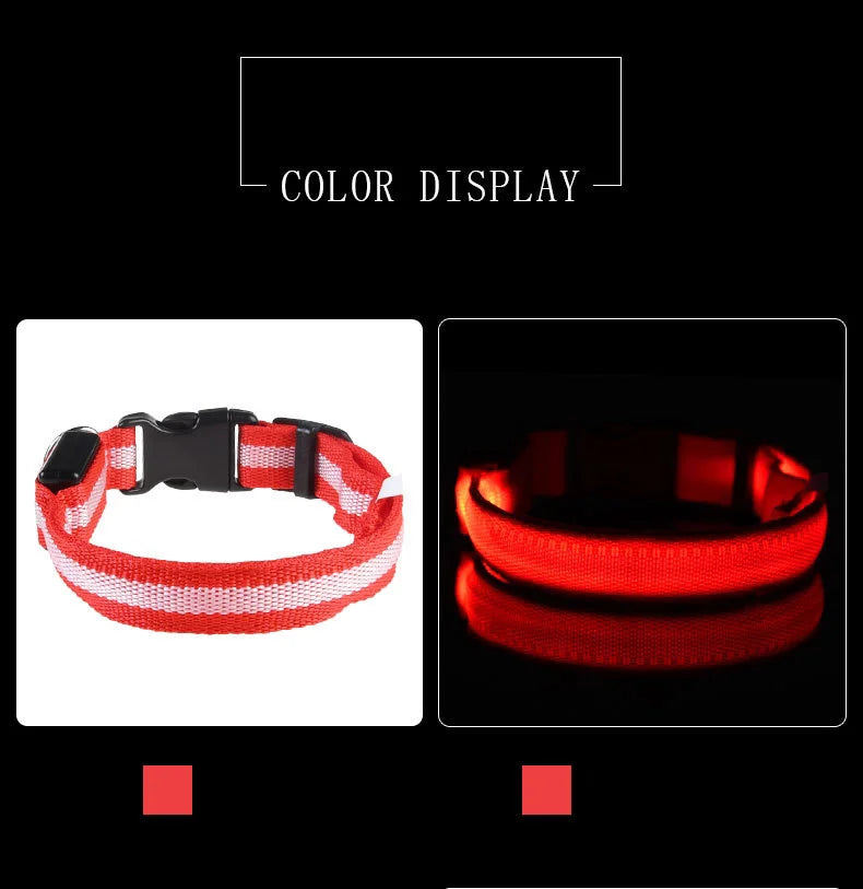 LED Dog Safety Leash USB Rechargeable Durable Nylon